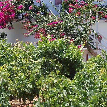 Villas Michalis-2
